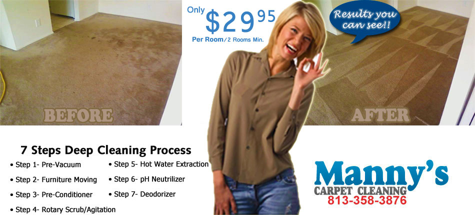 Carpet Cleaning Before and After