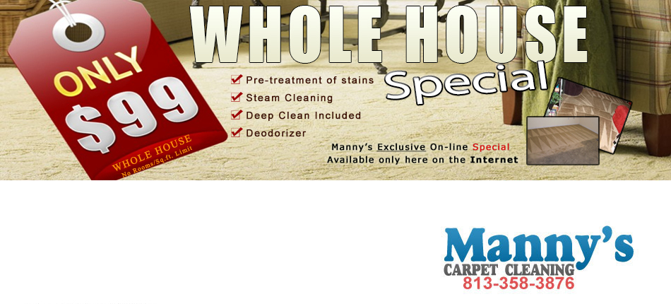 Professional Carpet Cleaning Apollo Beach Fl 33572