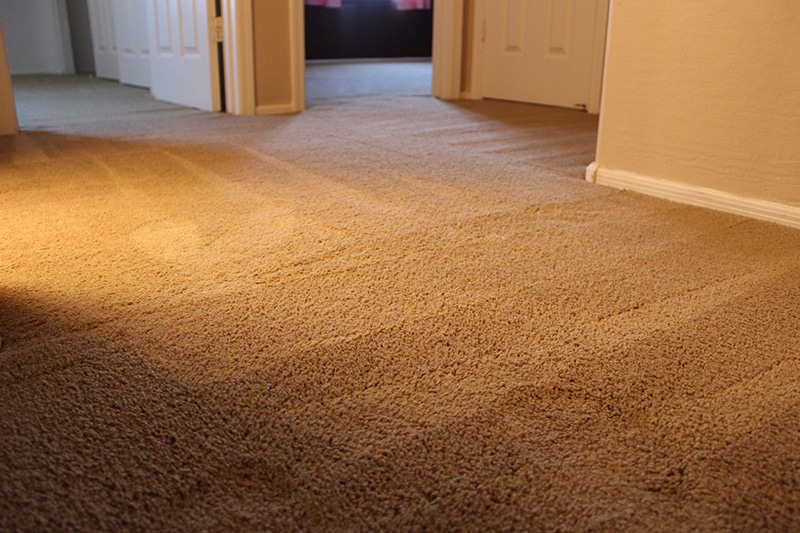 Carpet Stretching After